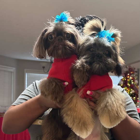 Meet your Posher, Mrs. ND Gunner - Picture 11 of 14